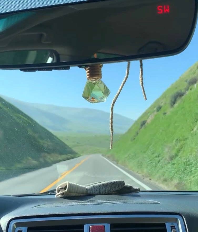 Car Diffuser Citrus Agave